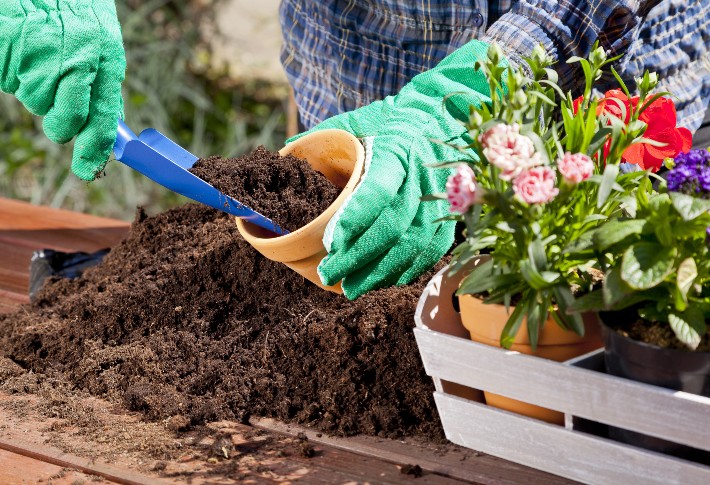چگونه خاک گلدان را تقویت کنیم؟